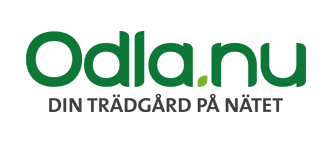 Odla rabattkod - 70% rabatt på frön